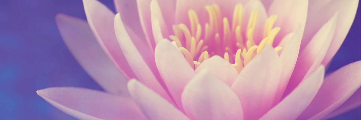 SpiritueelLeiderschapBanner SpiritueelLeiderschapBanner
